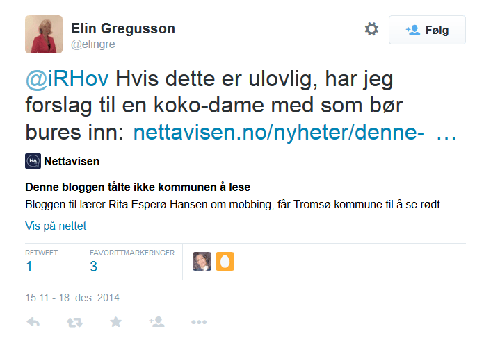Beskyttet: Elin Gregusson og Irene Hov om Kristin Bruun på&nbsp;Twitter