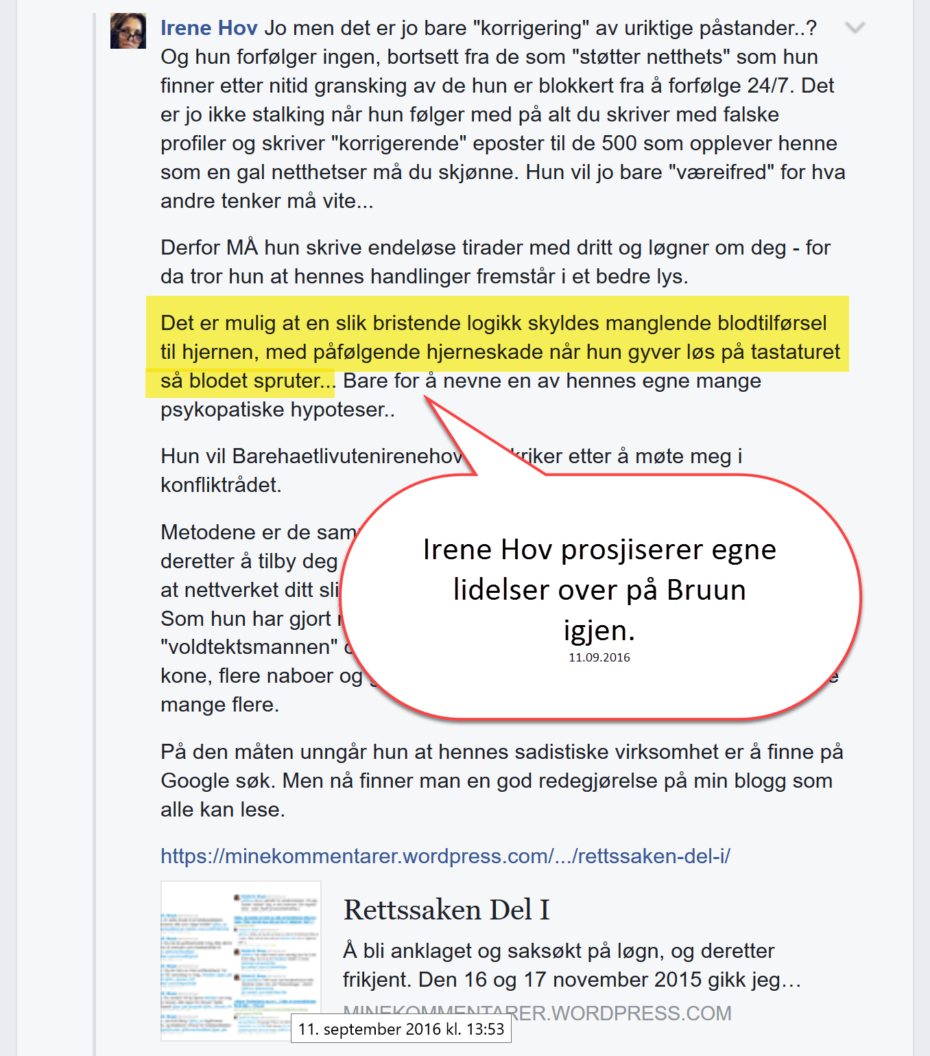 Irene Hov prosjiserer innholdet i egen rapport over på Bruun - ironisk nok i samtale med Rune Fardal på Facebook 11.09.2016