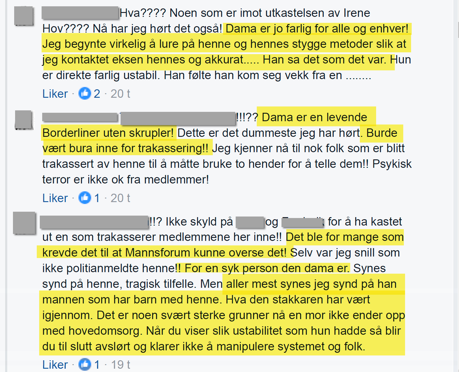 Omtale av Irene Hov etter at hun satte i gang et rent korstog mot tidligere venner, som hadde bistått henne i forfølgelsen av Bruun før de forsto hva Bruun hadde forsøkt å fortelle dem.